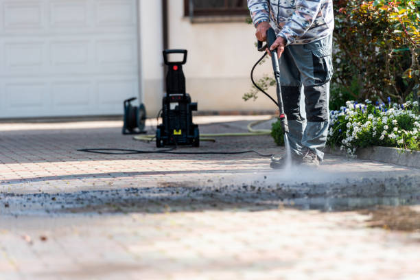 Best Roof Power Washing Services  in Renova, MS