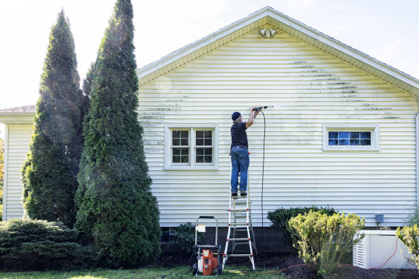 Best House Pressure Washing  in Renova, MS