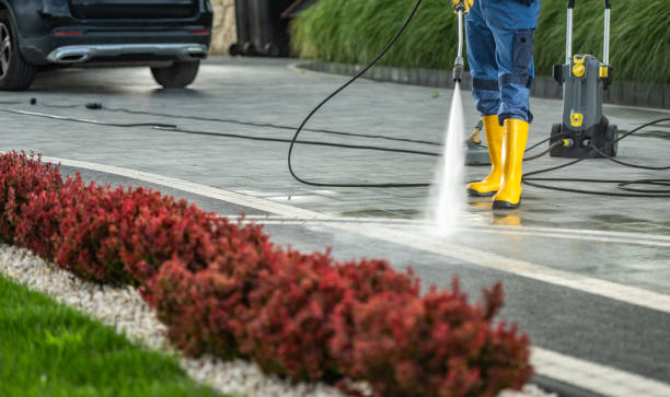 Best Affordable Power Washing  in Renova, MS