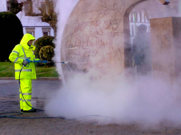 Best Garage Pressure Washing  in Renova, MS